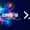 Develop a Linux command-line Tool to Track and Plot Covid-19 Stats